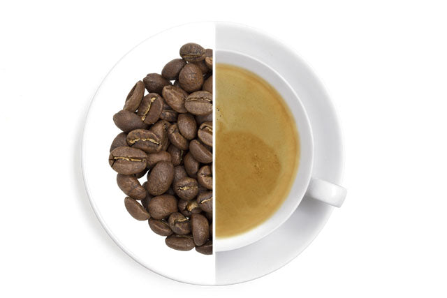 Colombia Excelso