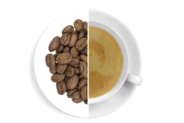 Organic Peru SHB