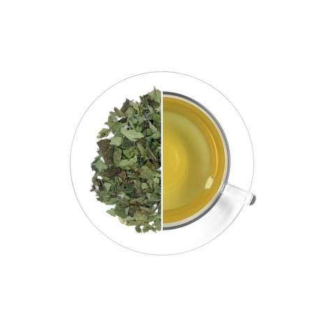 Lemon Balm