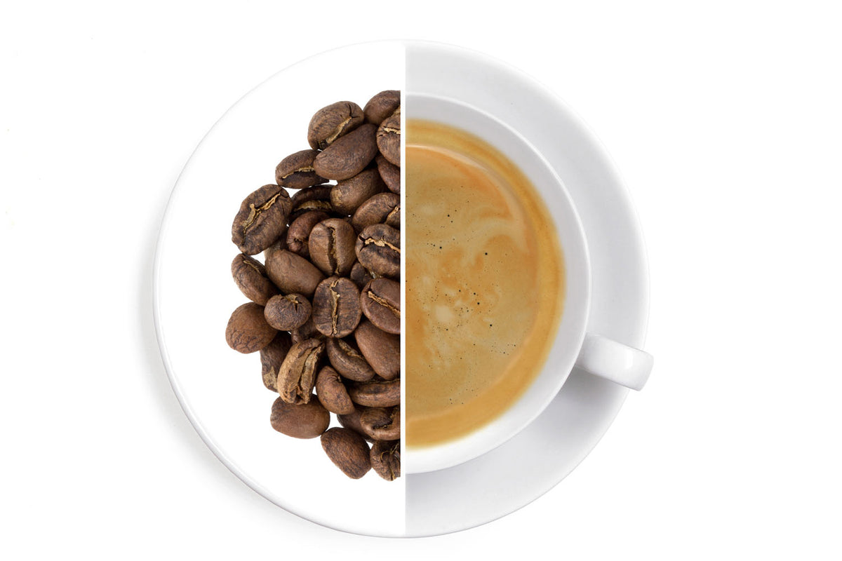 Honduras Organic